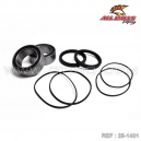 Kit roulements ALL BALLS / 25-1401