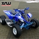 Nerf Bar R1 XRW - Alu Chrome