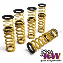 Kit ressorts courts KW - DVX 250