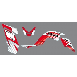 Kit d&eacute;co GTINO - YFM Raptor 700