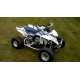 Kit déco GTINO - Suzuki LTR 450