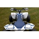 Kit déco GTINO - Suzuki LTR 450