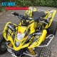 Kit déco "PAINTGRAF" - LTZ /  KFX 400