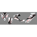 Kit d&eacute;co GTINO - TRITON 250R