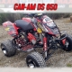 Kit déco "SKULL" GTINO - DS 650