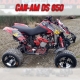 Kit déco "SKULL" GTINO - DS 650