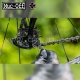 Brosse CLAW | MUC-OFF